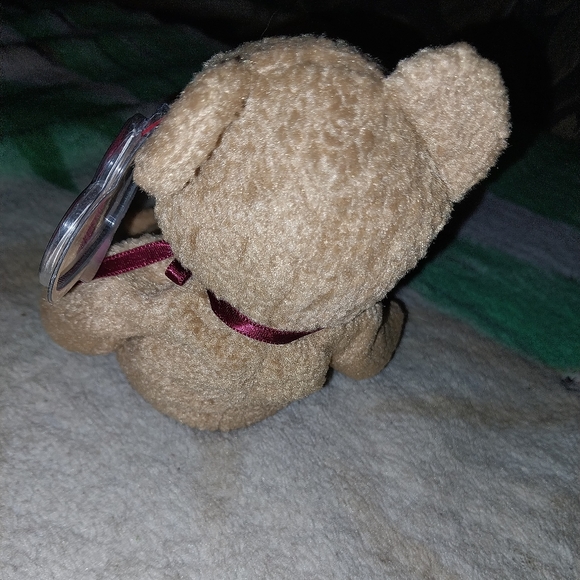 Beanie Baby - Curly The Bear WITH ERRORS - Picture 3 of 7